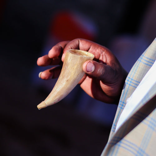 Image de Cone de Corne de zébu malgache
